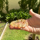 Citrine Bracelet - Undertake