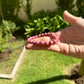 Reconciliation Rhodonite Bracelet