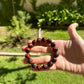 Money Red Tiger Eye Minimalist Bracelet