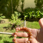 Self-esteem Sun Stone Bracelet