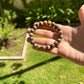 Prosperity Blue and Yellow Sapphire Bracelet