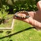 Prosperity Blue and Yellow Sapphire Bracelet
