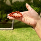 Protection Red Jasper Bracelet