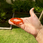 Empowerment Carnelian Bracelet