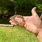 Smoky Quartz Bracelet - Refocus