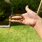 Money Tiger Eye Minimalist Bracelet
